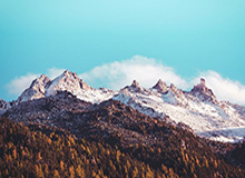 开云体育-全方位训练！库明加更新Ins，晒出一段拳击训练的视频